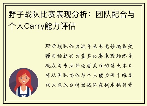 野子战队比赛表现分析：团队配合与个人Carry能力评估
